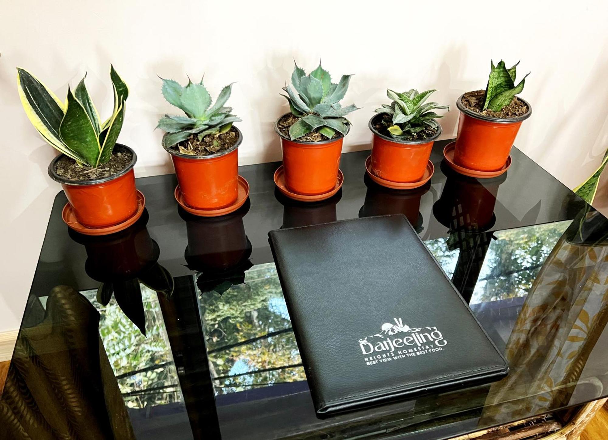 Darjeeling Heights - A Boutique Mountain View Homestay الغرفة الصورة